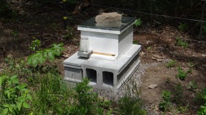 Newly Installed Honey Bee Hive