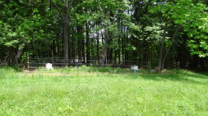 Honey Bee Hives Facing South