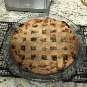 Rhubarb Pie - So Good!!
