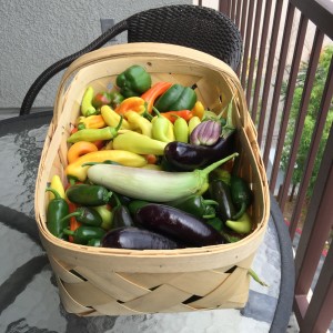 Vegetable Garden Harvest!
