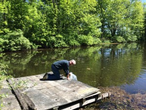 Preparing to Release the Fish