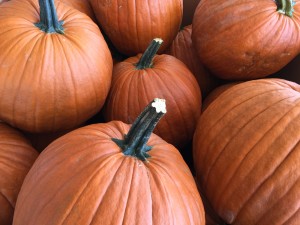 Jack-O-Lanterns!