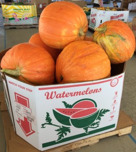 Big Pumpkins!