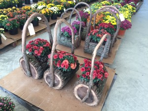 Specialty Flower Baskets!