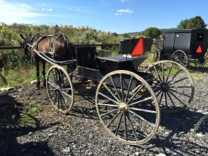 Centerville Amish Community