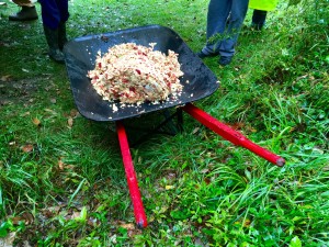 Pressed Ground Apple Pulp