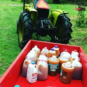 The Cider Jugs Filled!