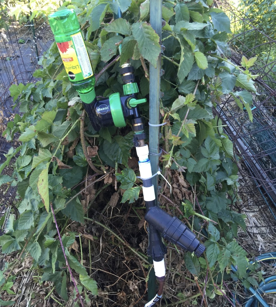 Irrigation Drip System Filtration and Fertilizer Injection Mink