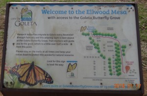 The Greeting Sign for the Goleta Butterfly Grove