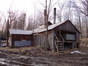 The Sugarbush!