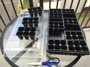 Separating the seed trays