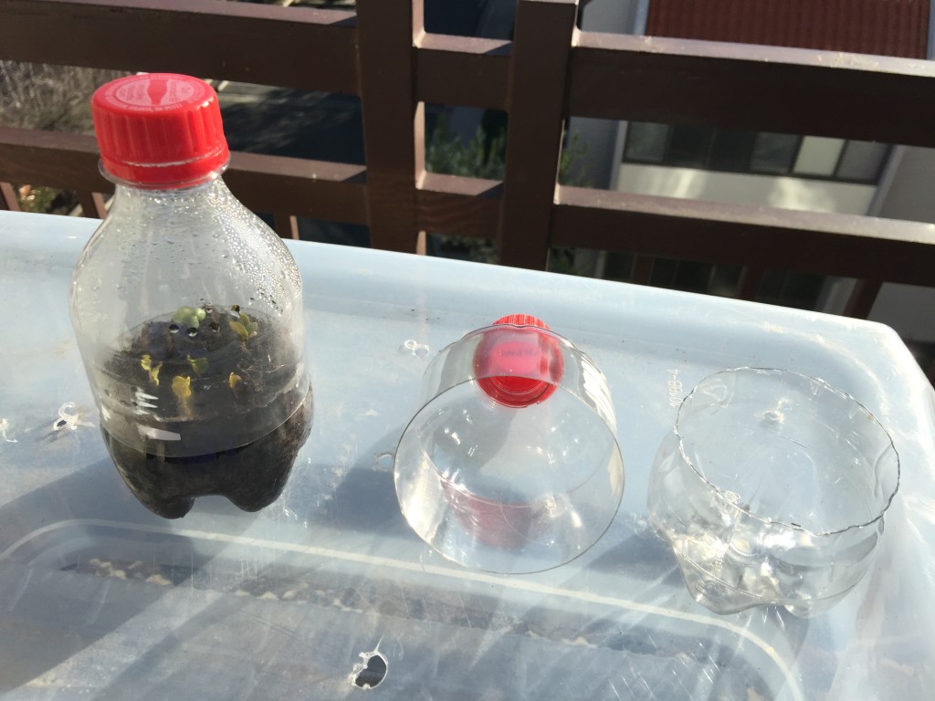 Coke Bottle Greenhouse Mink Hollow Farm