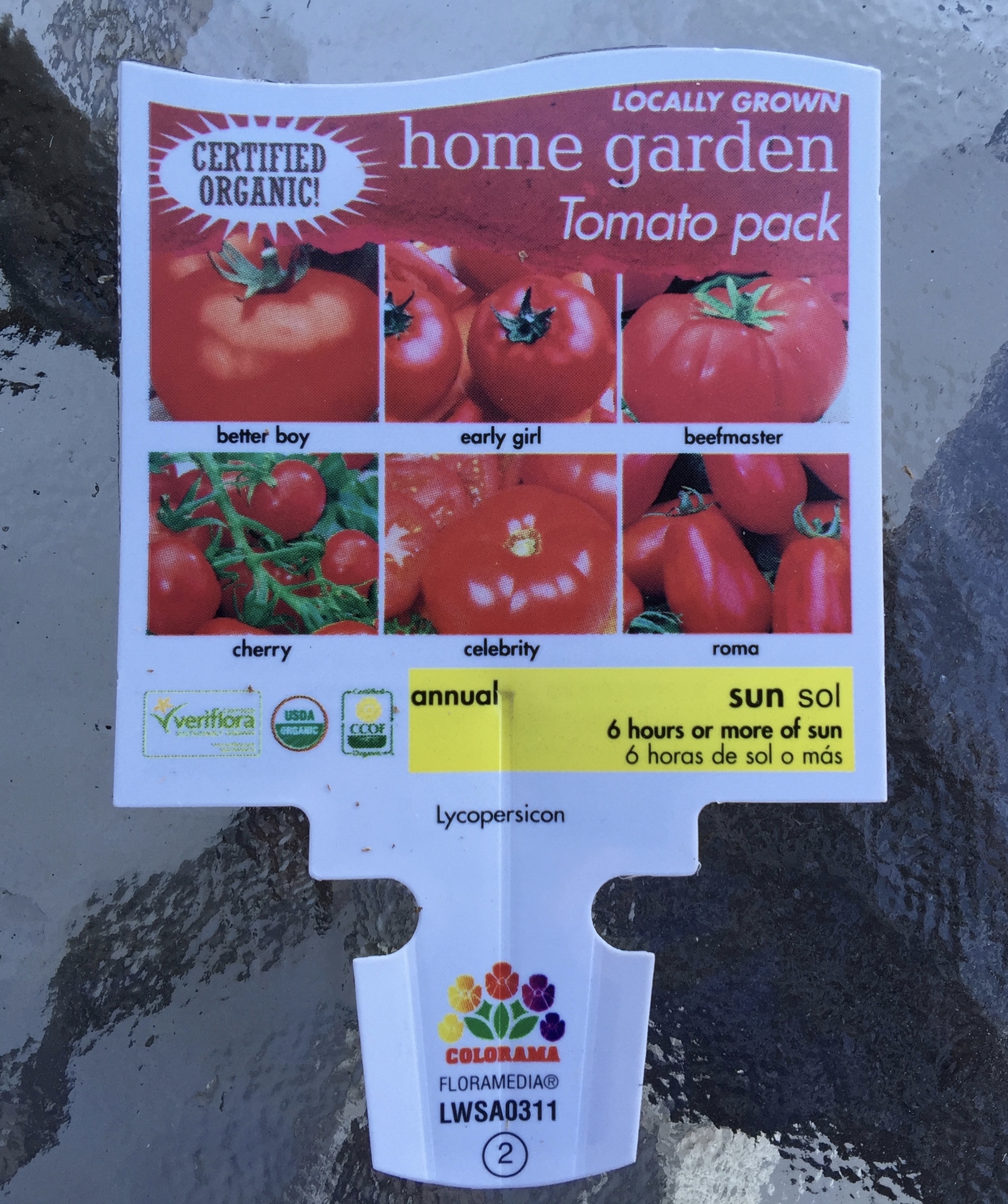 Tomato Six Variety Six Pack – A great way to buy tomato plants!