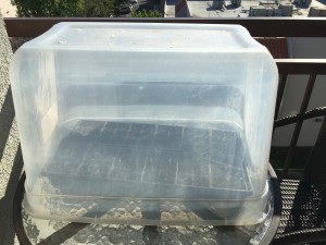 Mini greenhouse made from an upside down storage tub