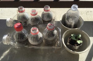 Opening Coke bottle tops for ventilation