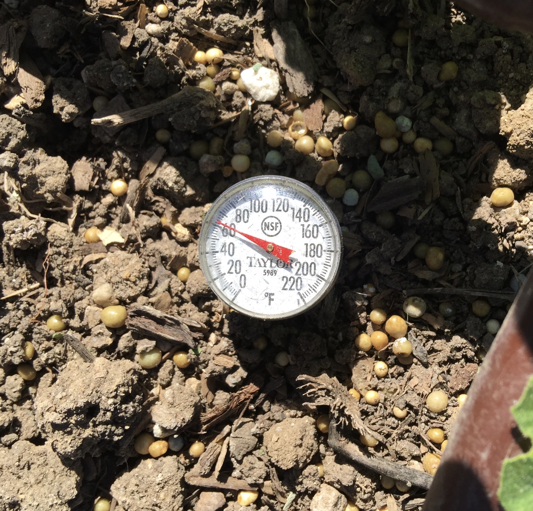 Soil Temperature Thermometer