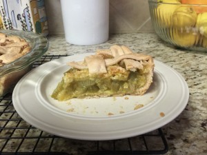 A nice slice of rhubarb pie!