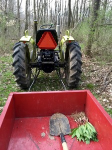 Hauling the Ramps back to the kitchen