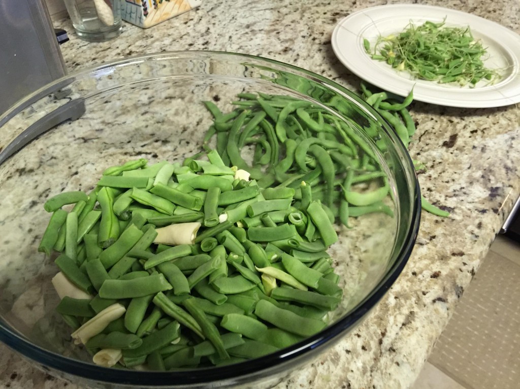 Freezing Green Beans Mink Hollow Farm