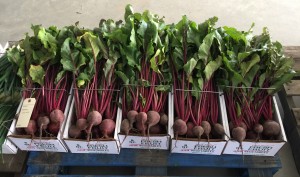 Beets for Sale!